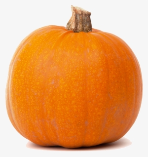 Real Pumpkin Transparent Png - Pumpkin Clipart Transparent Background