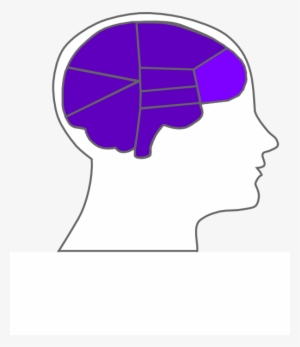 How To Set Use Head And Brain Outline Svg Vector