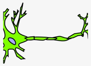 Neuron Clipart Green - Neuron Clipart