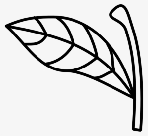 Download Image Transparent Library Airplane Travel - Apple Stem And Leaf