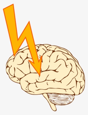Brain Clipart Epilepsy - Stroke Clipart