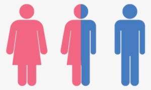 Gender Png Transparent Image - Estructura De La Poblacion
