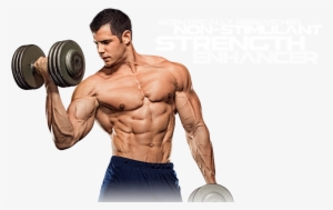 Muscle Png Images All - Weight Training