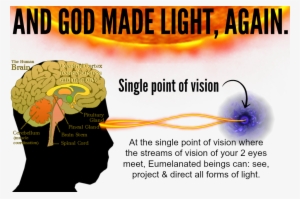 Uni-and God Made Light Again - Teaching Mcqs In Neuroscience