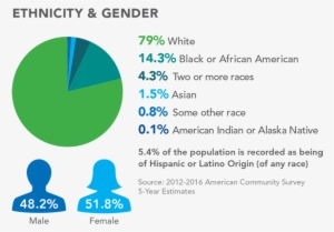 Ethnicity And Gender - Portable Network Graphics