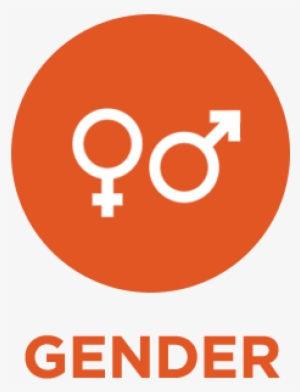 Gender - Vinyl Wrap Brand