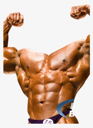 Free Bodybuilder Photo - Bodybuilder Photo Montage