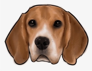 46 Why Are You A Beagle - Dog