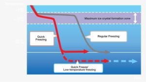 By Quickly Going Past The Maximum Ice Crystal Formation - Ice Crystals In Food
