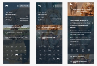 Blog Using The Animal Icons Kit Of @stevewolf - Flyer