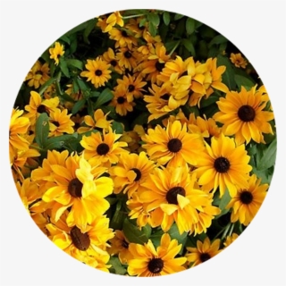 Tumblr Sticker - Yellow Flower Aesthetic