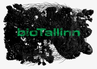 On 12th Of October Aku Collective Agency Was Awarded - Tallinn Architecture Biennale Poster