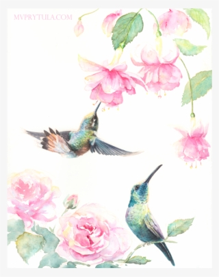 Hummingbirds Limited Edition - Ruby-throated Hummingbird