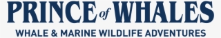 Prince Of Whales, Whale & Marine Wildlife Adventures - Graphic Design