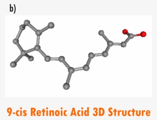 Chemical Structures Of 9 Cis Retinoic Acid A) 2d Drawing,