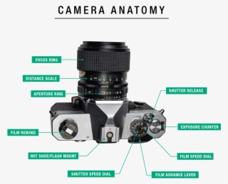 A Mirror Within The Camera Body That Is Diagonally - Camera Lens