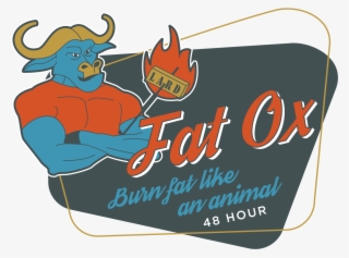 Fat Ox What Started As An 'ultra-experiment' For Young - Pull Fish Out Of Water