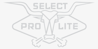 Description - Emblem