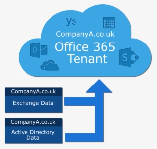 Tennancy Diagram Large Flat - Office 365 Cloud Tenant