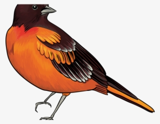 Quail Clipart Free Clipart - Bird Clip Art