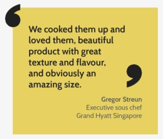 Bvp's Quail Is A Delectable Bird So Large It Can Be