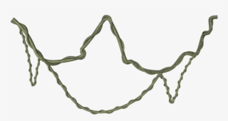 Jungle Vines Png Clipart - Vine Png