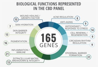 Cannabidiol Gene Expression Panel Debuts At Scc Annual - Circle