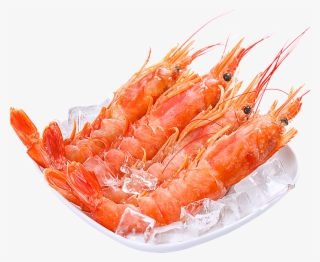 800 X 800 2 - Креветки Лангустины Цена