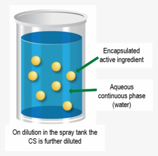 Cs Formulation Diagram - Capsule Suspension Cs Formulation
