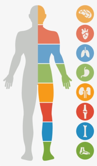Joel Wallach - Effects Of Stress On The Body Diagram