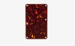 Fender - Amber