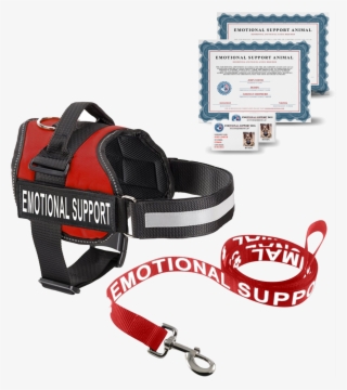 Price - Emotional Support Dog Kit