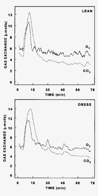 Oxygen Consumption And Carbon Dioxide Release By Lean - Diagram