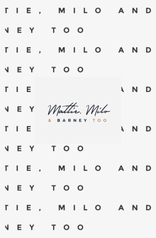 Once The Logo's Finished, I Sent Katie All The File - Paper