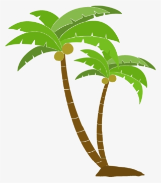 Coconut Palm Tree Png - 南国 素材 背景 透過