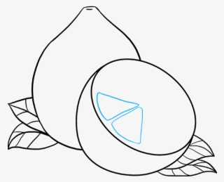 How To Draw Lemon - Drawing Image Of Lemon