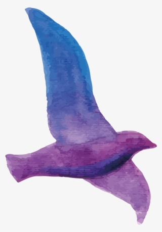 White Flying Pigeon Png Image - Bird Watercolor Purple