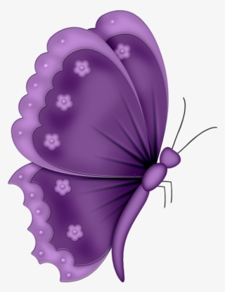 ‿✿⁀butterflies‿✿⁀ - Red And Green Butterfly