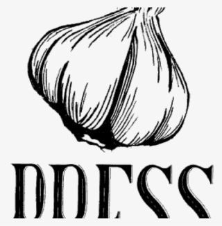 Drawn Onion White Png - Logo Garlic Png