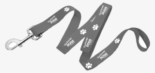 Dog Belt Png