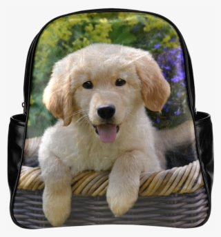 Cute Young Golden Retriever Dog Goldie Puppy Portrait - Cute Puppies Square