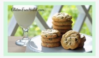 Warm Chocolate Chip Cookies Right Out Of The Ovenslightly - Chocolate Chip Cookie