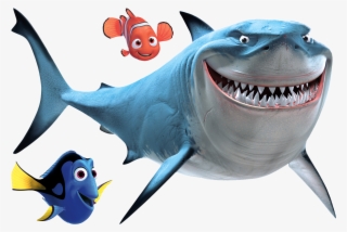 Nemo Fish Png - Finding Nemo Sharks