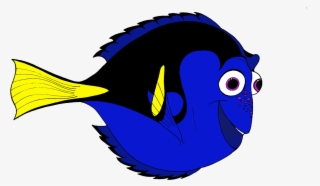 Marlin Clownfish Drawing Zebra Transprent Png Free - Desenhos De Peixe Coloridos