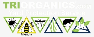 Green Tick Clipart Phone Call - Bumble Bee Clip Art