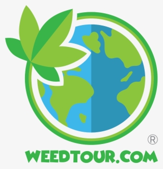 Weed Girls - Graphic Design