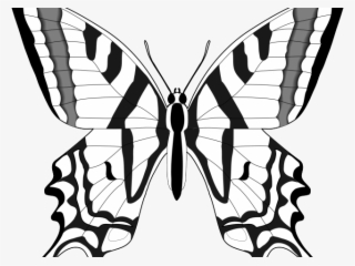Monarch Butterfly Clipart Outline - Swallowtail Butterfly Clipart