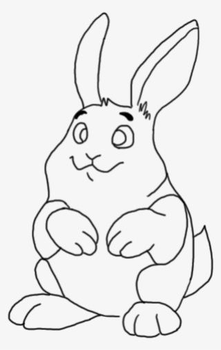 Photo Bunnylines - Domestic Rabbit