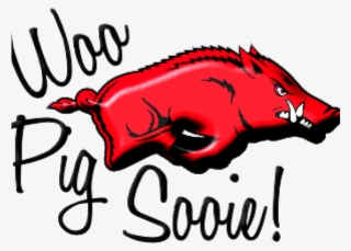 Boar Clipart Razorback - Colorado Hawks Basketball