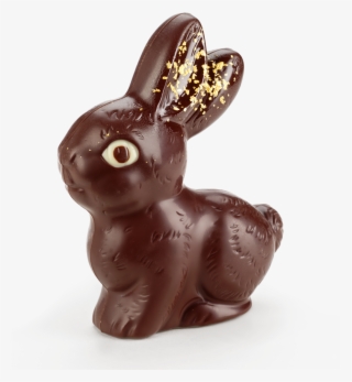 Chocolate Bunny Goldy 100g - Domestic Rabbit